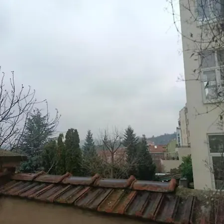Barokní *