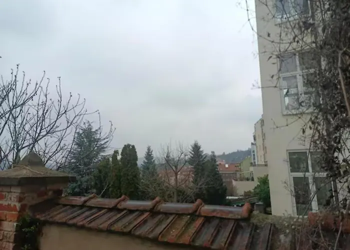 Barokni *